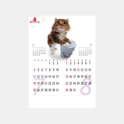̾���쥫������SP-61 ���塼�ƥ�������å�