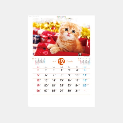 ̾���쥫������SP-65 ��֥꡼�ɥå�������å�