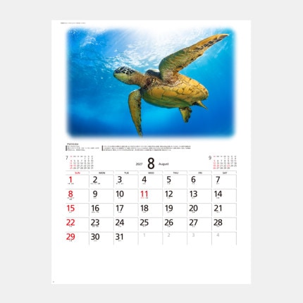 ̾���쥫������SP-84 ����ưʪ�仺