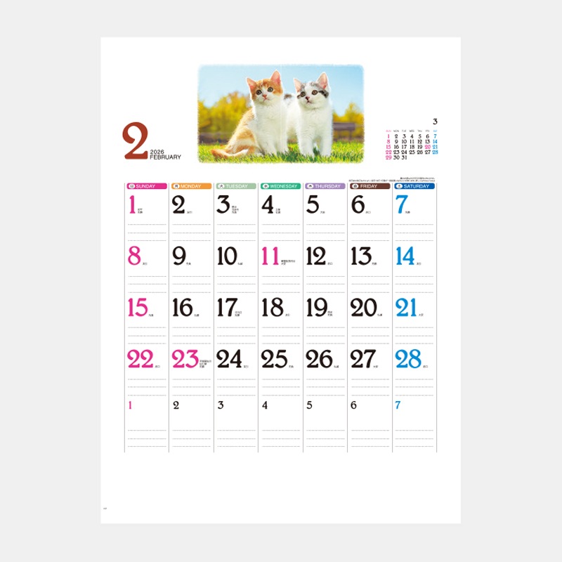 IC-262 ģ򡡣ƣʥǥեߥ꡼