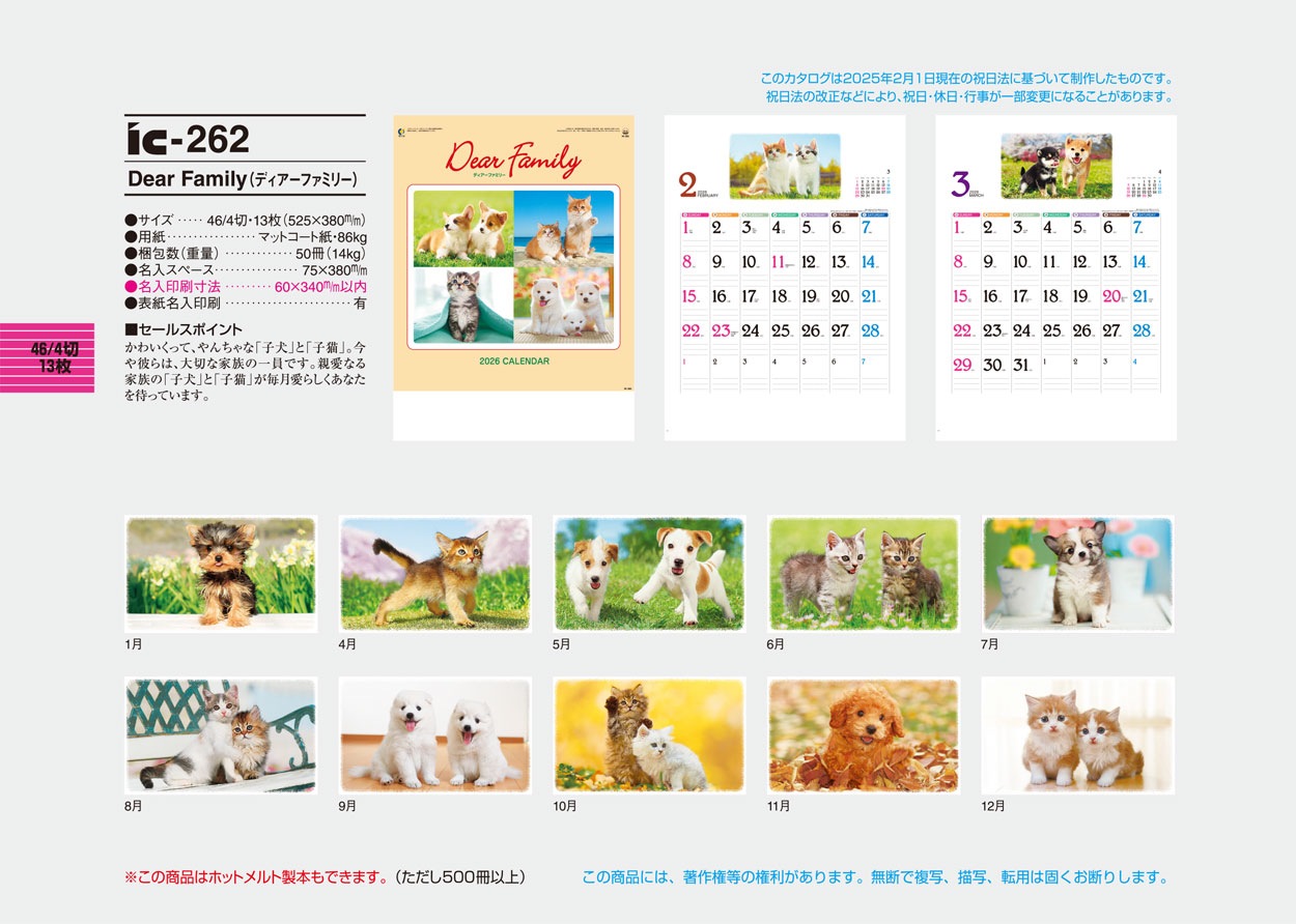 IC-262 ģ򡡣ƣʥǥեߥ꡼