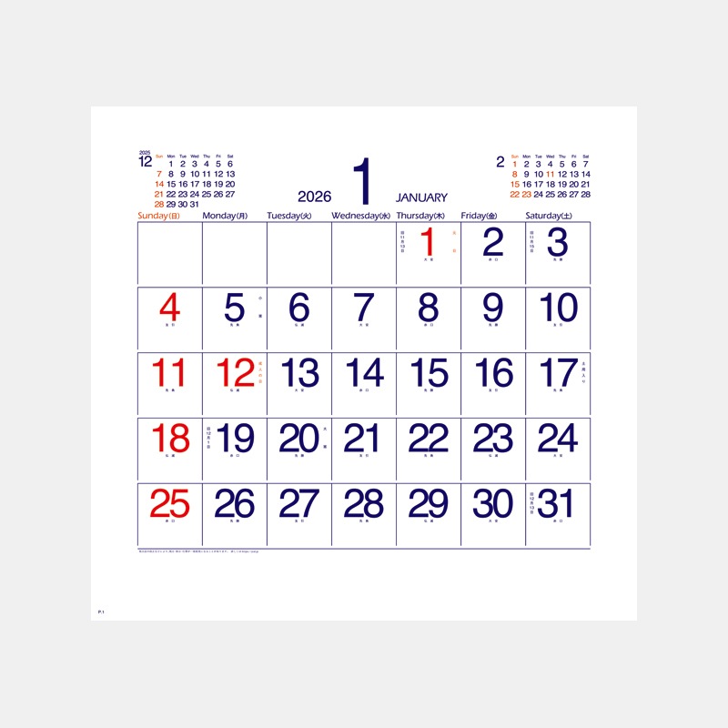 NK-462 ����ѥ���ʸ��