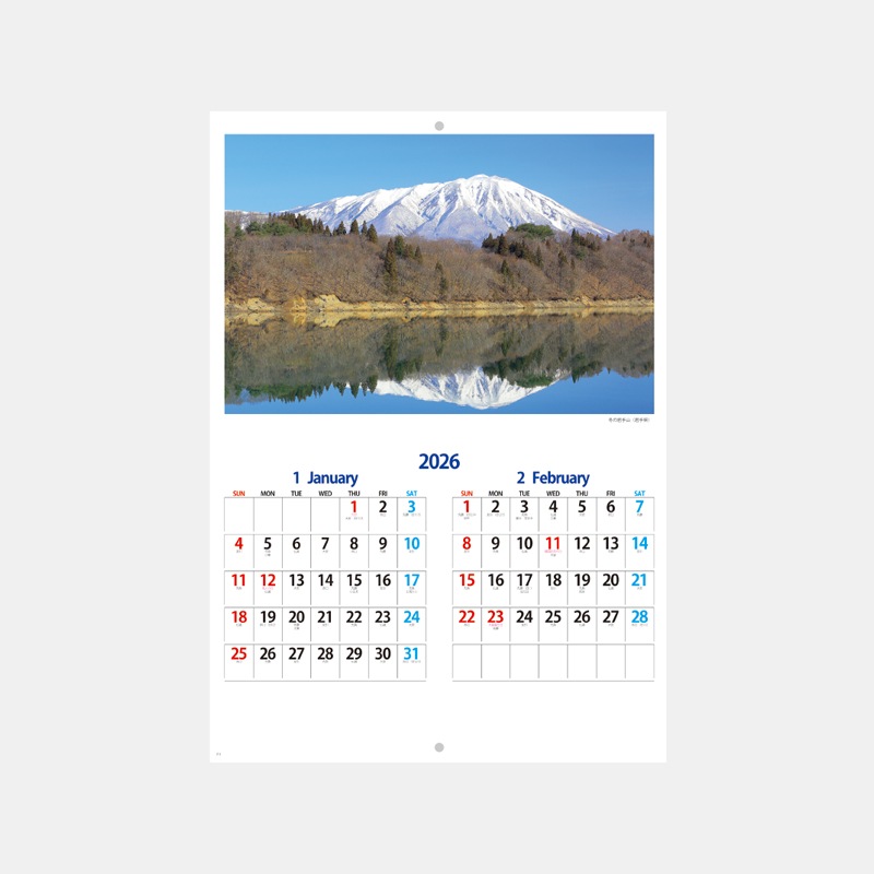 NP-404-C �֥å���åȡ����ܤλ͵���ʡ������֤��ˡʥ��顼̾����