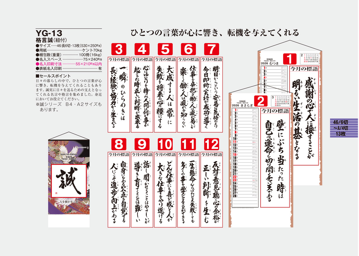 YG-13 �ʸ�����ɳ�ա�