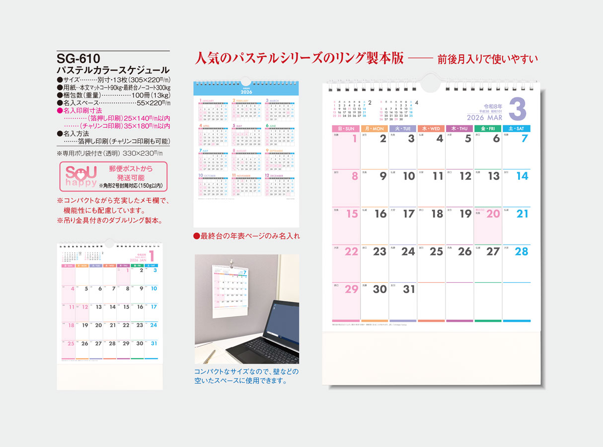 SG-610 �ѥ��ƥ륫�顼�������塼��