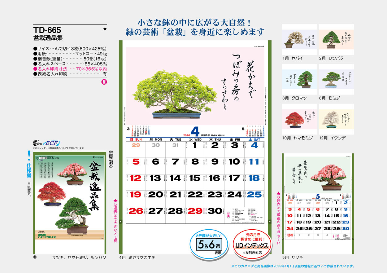 TD-665 �ߺϰ��ʽ�