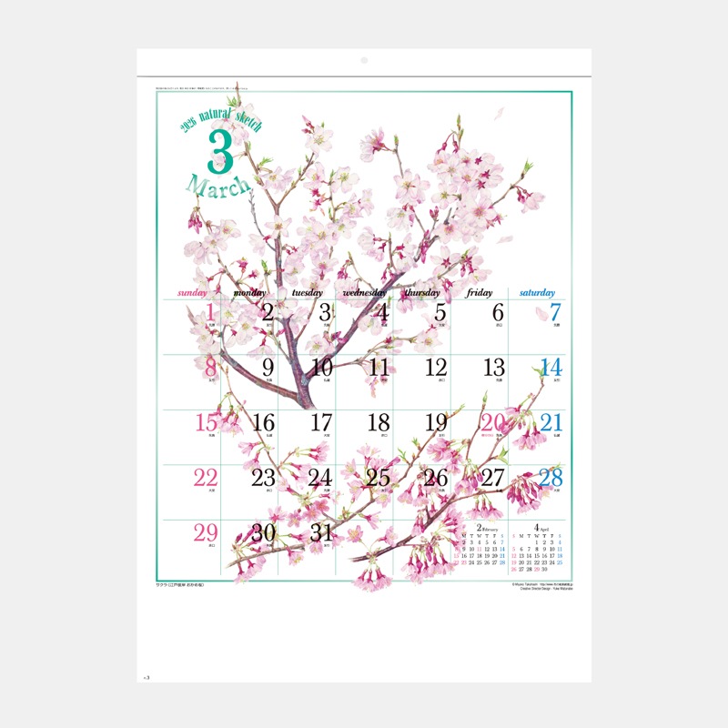 SG-277 �ʥ����륹���å�