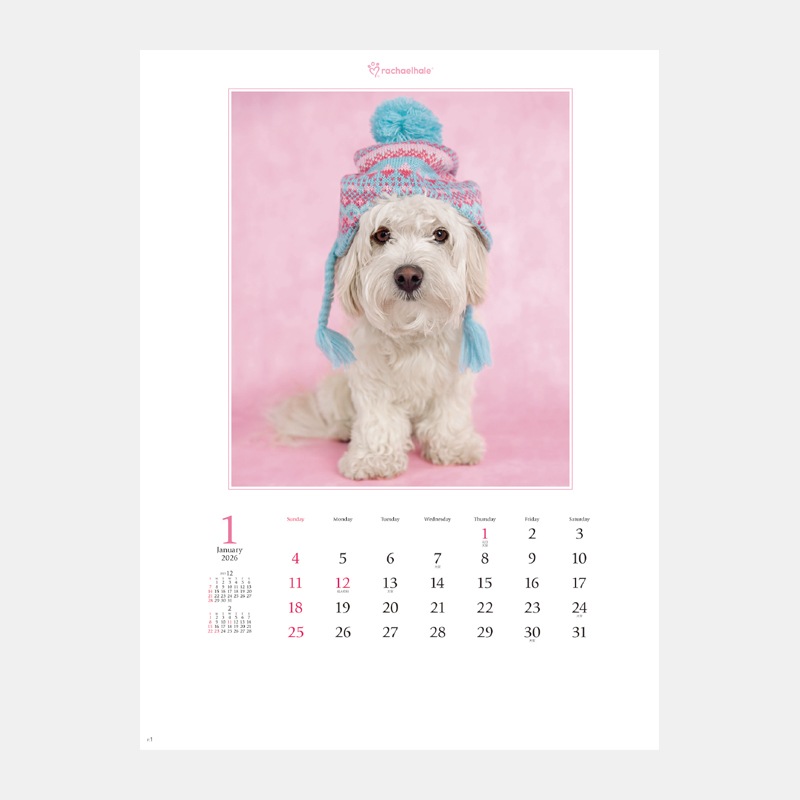 NK-89 ���˥ޥ롦�ե�󥺡ʥ쥤�����롦�إ�����ʽ���