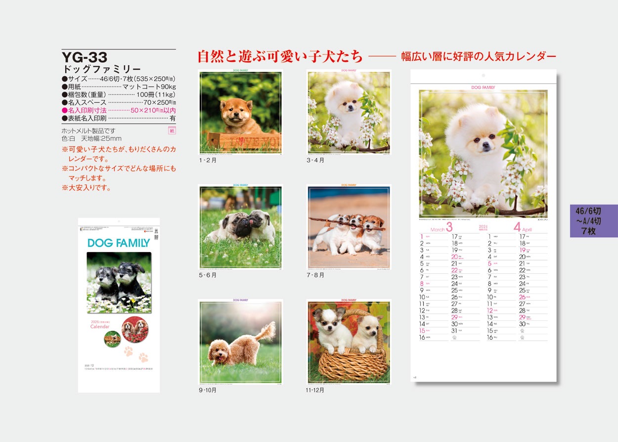 YG-33 �ɥå��ե��ߥ꡼ (SG-142)