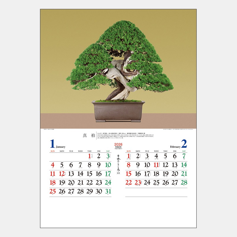 TD-721 ���ܤΤ����������ߺϡ�