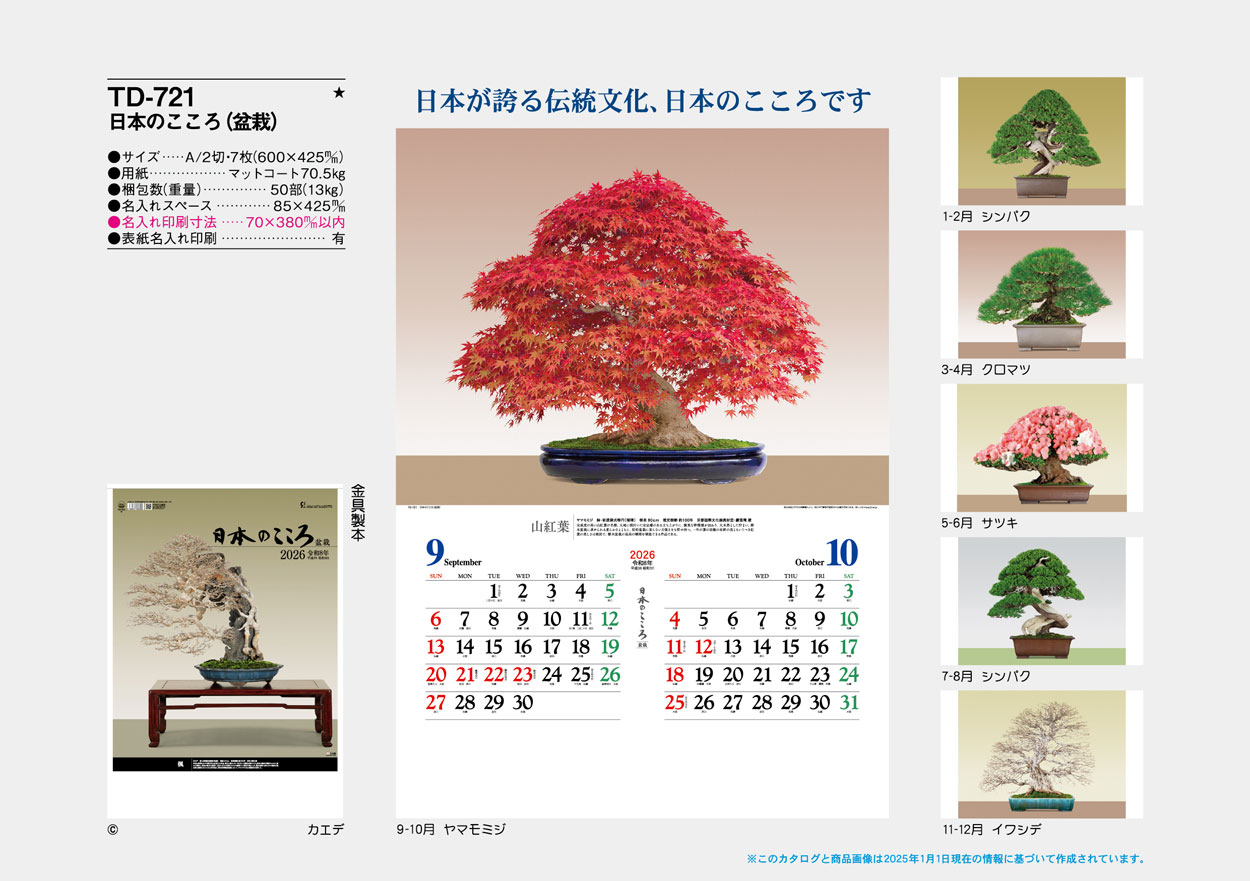 TD-721 ���ܤΤ����������ߺϡ�