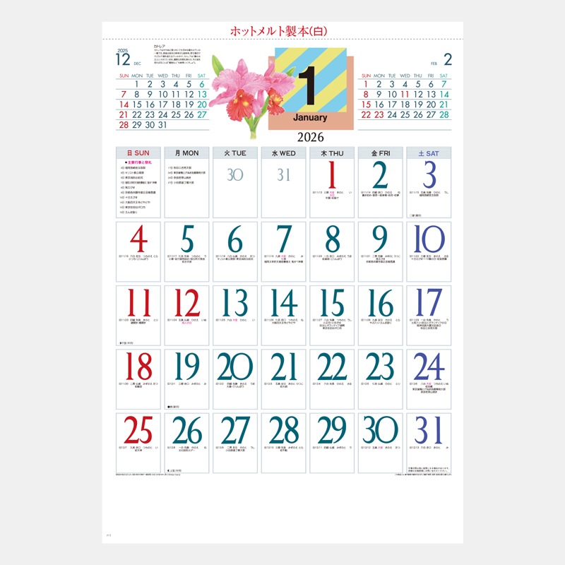 SD-17 �����ꥫ�顼ʸ��