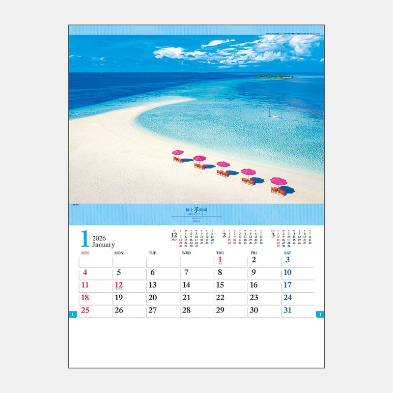 TD-814 ˾̴֡ƴΥ꥾ȡ