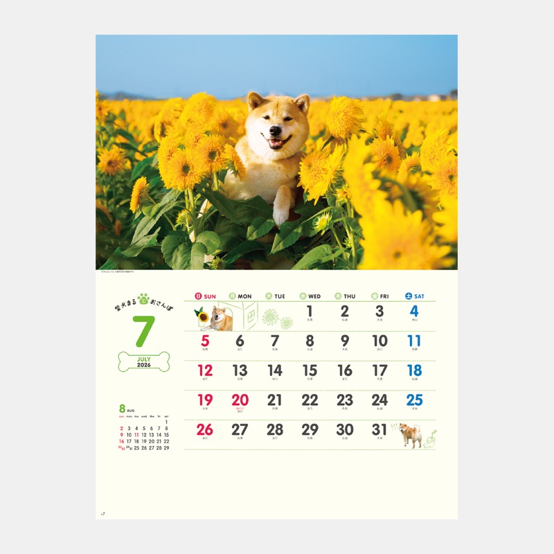 NK-35 �Ƹ��ޤ�Ȥ�����ݥ�������