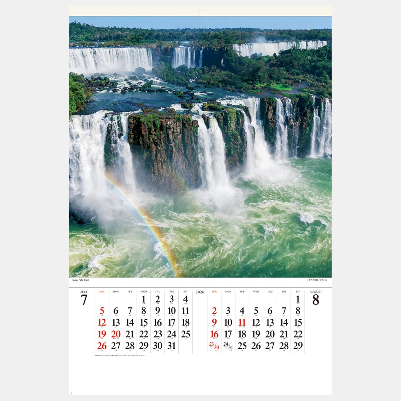 SG-542 �������缫����(SB-261)