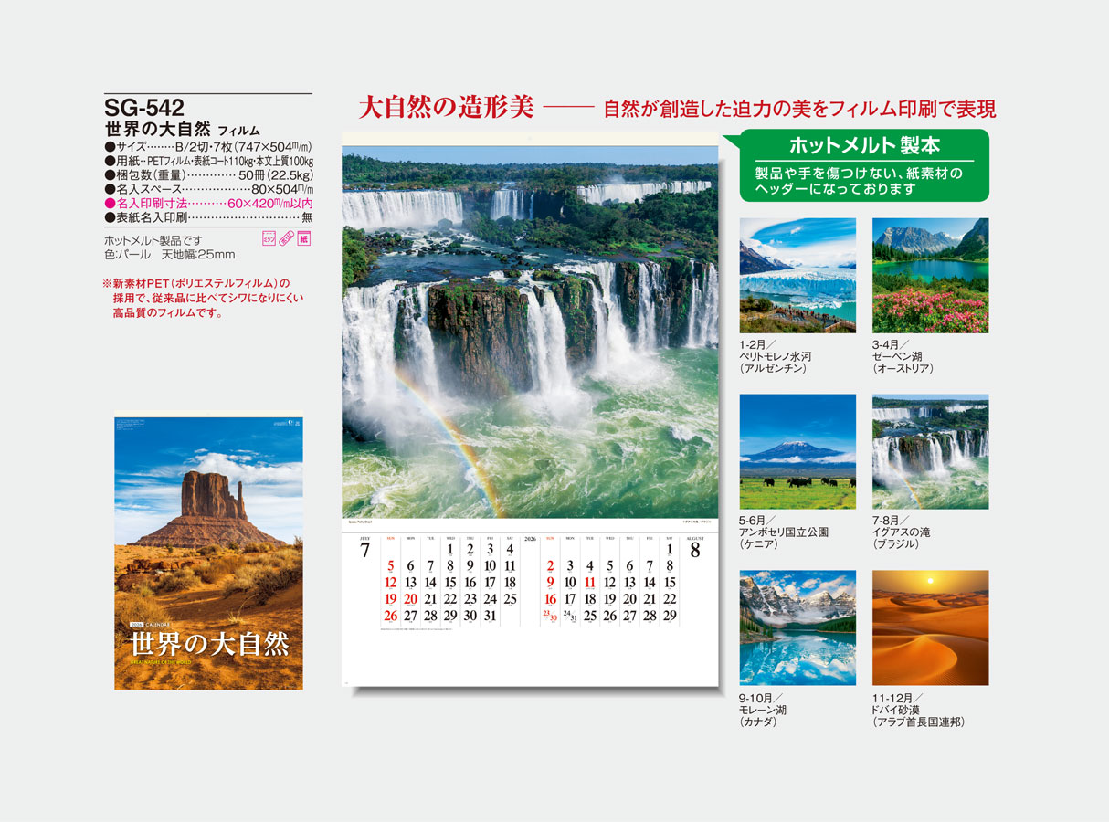 SG-542 �������缫����(SB-261)