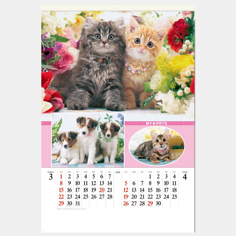 SG-543 �ޥ��ڥå�