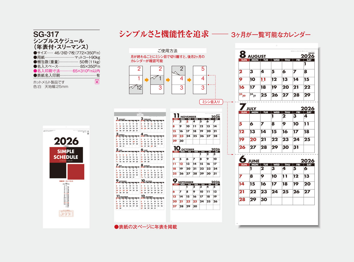 SG-317 ����ץ륹�����塼���ǯɽ�ա����꡼�ޥ󥹡�