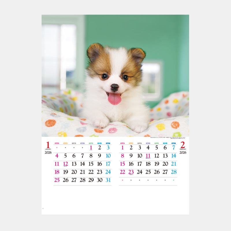 IC-203H ���襤����