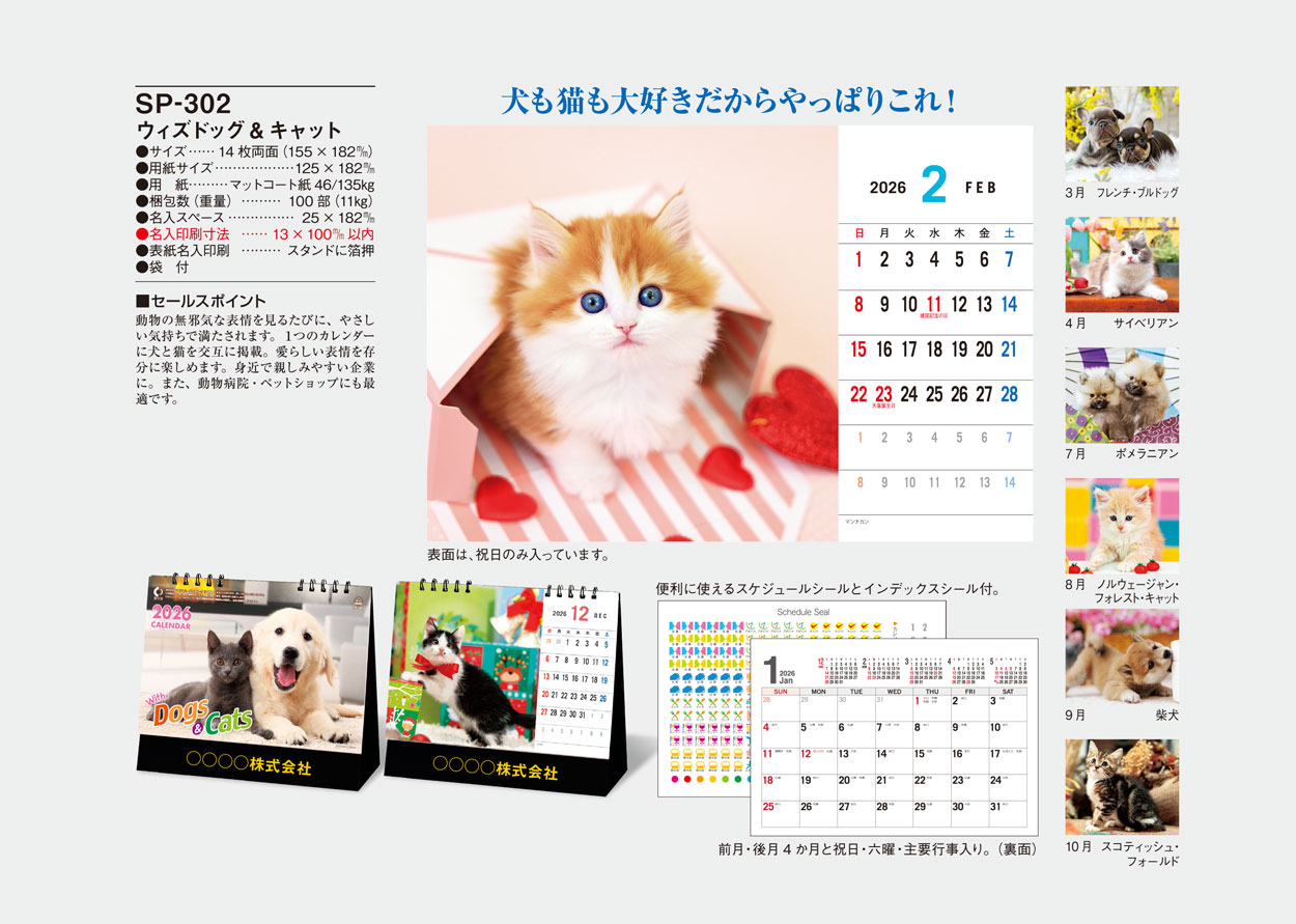 SP-302 �������ɥå�������å�