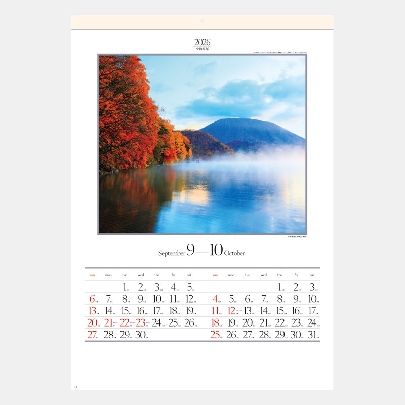 SG-403 �͵�ϻ��