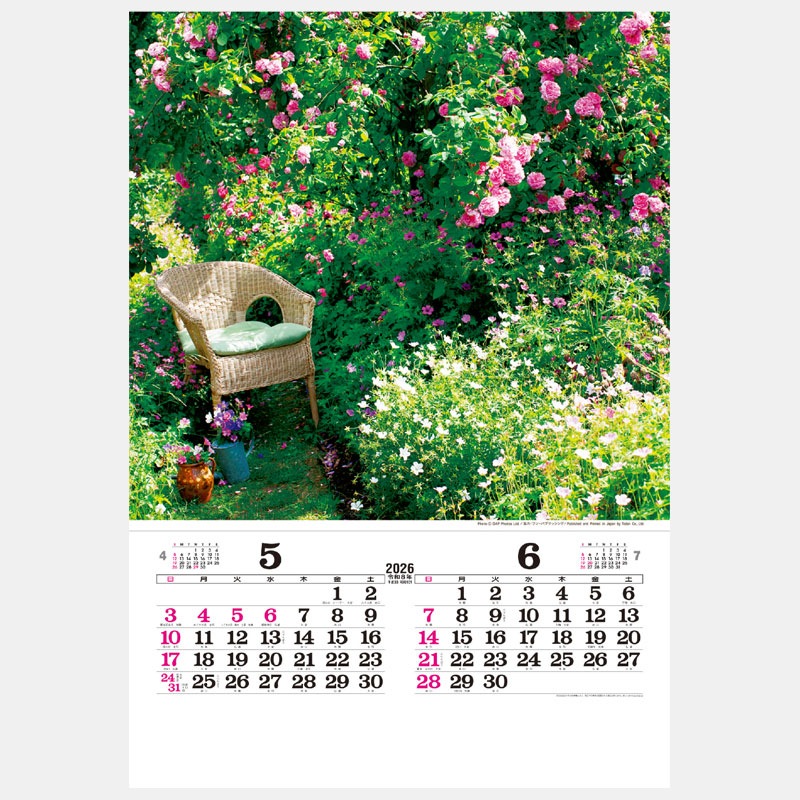 NK-405 ���󥰥�å��塦�����ǥ�ʥե����ˡ���TD-535��