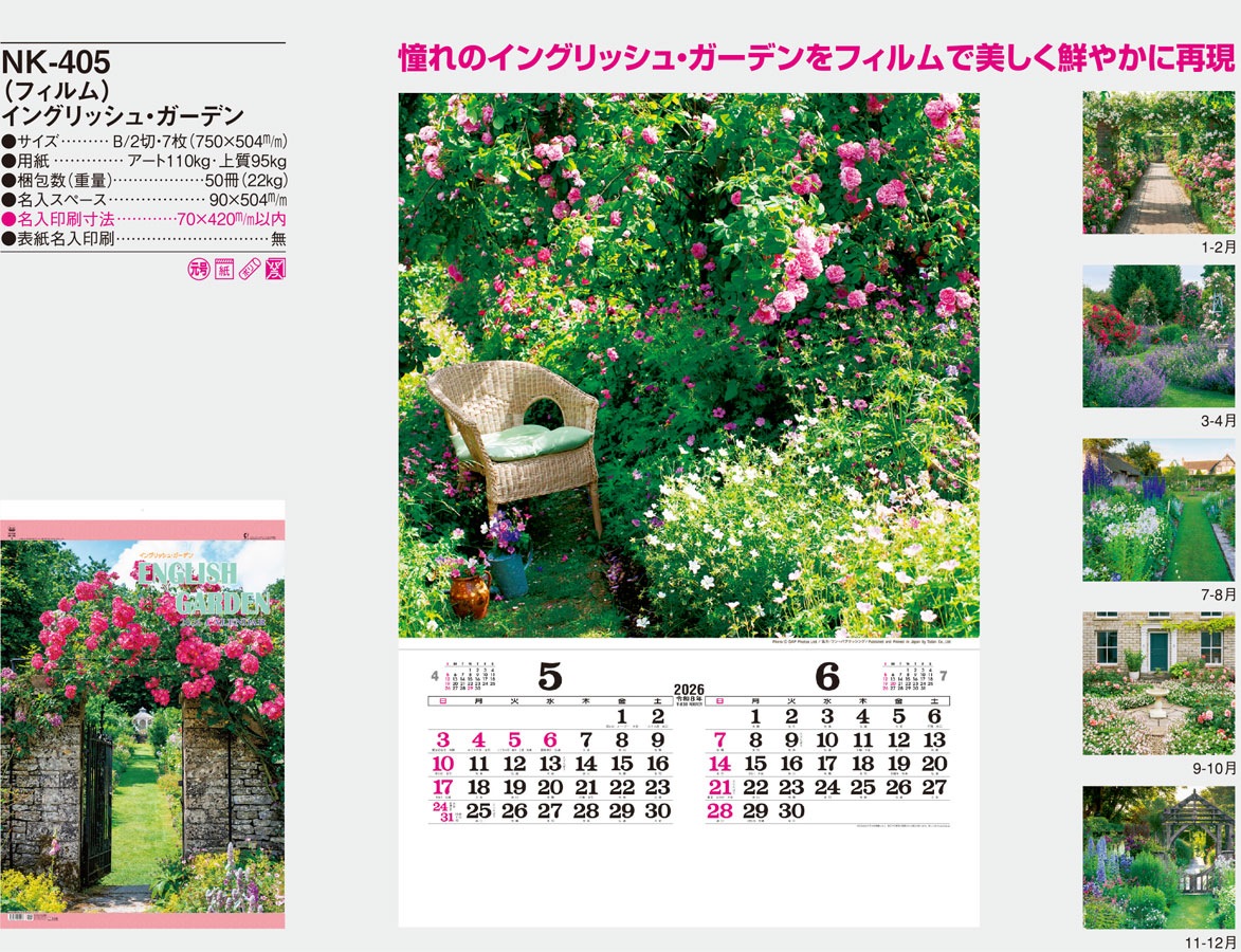 NK-405 ���󥰥�å��塦�����ǥ�ʥե����ˡ���TD-535��