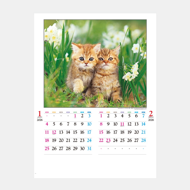 IC-201H ���襤��ǭ