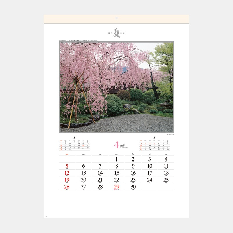 SG-264 �����͵�����