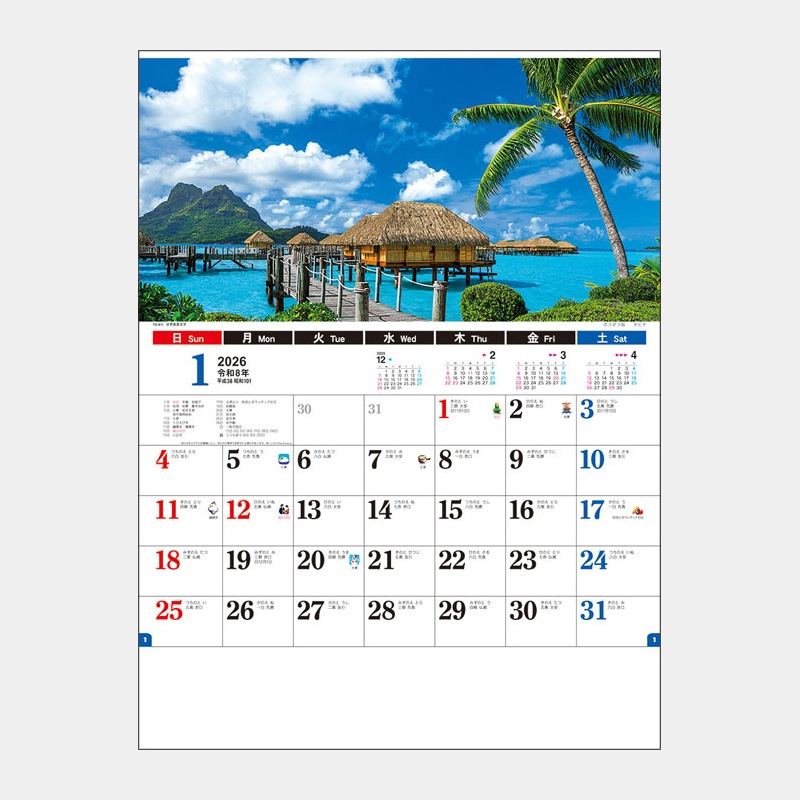 TD-811 ��������ʸ��