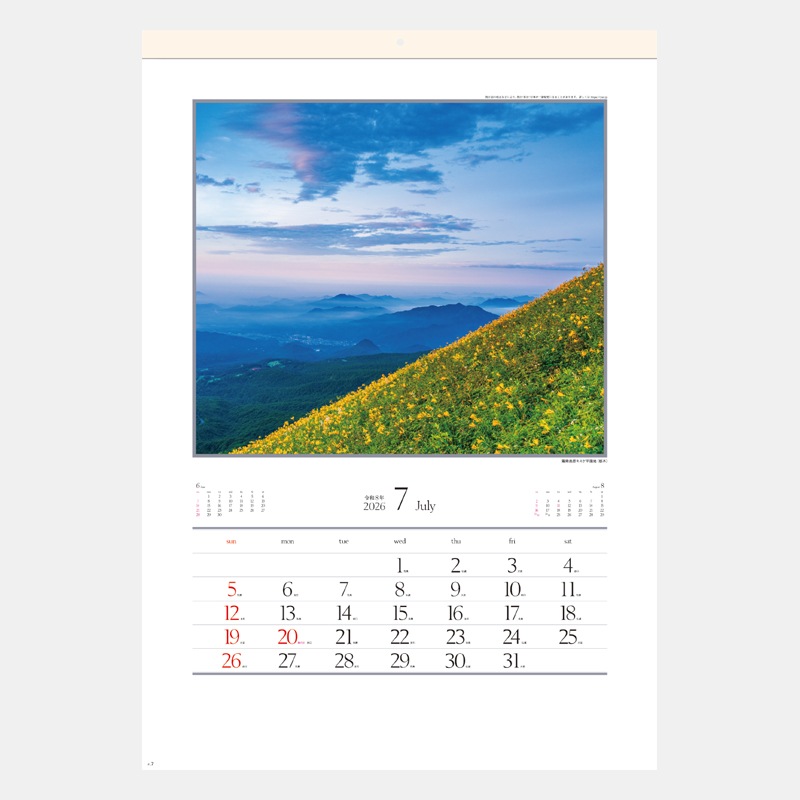 SG-456 �͵������