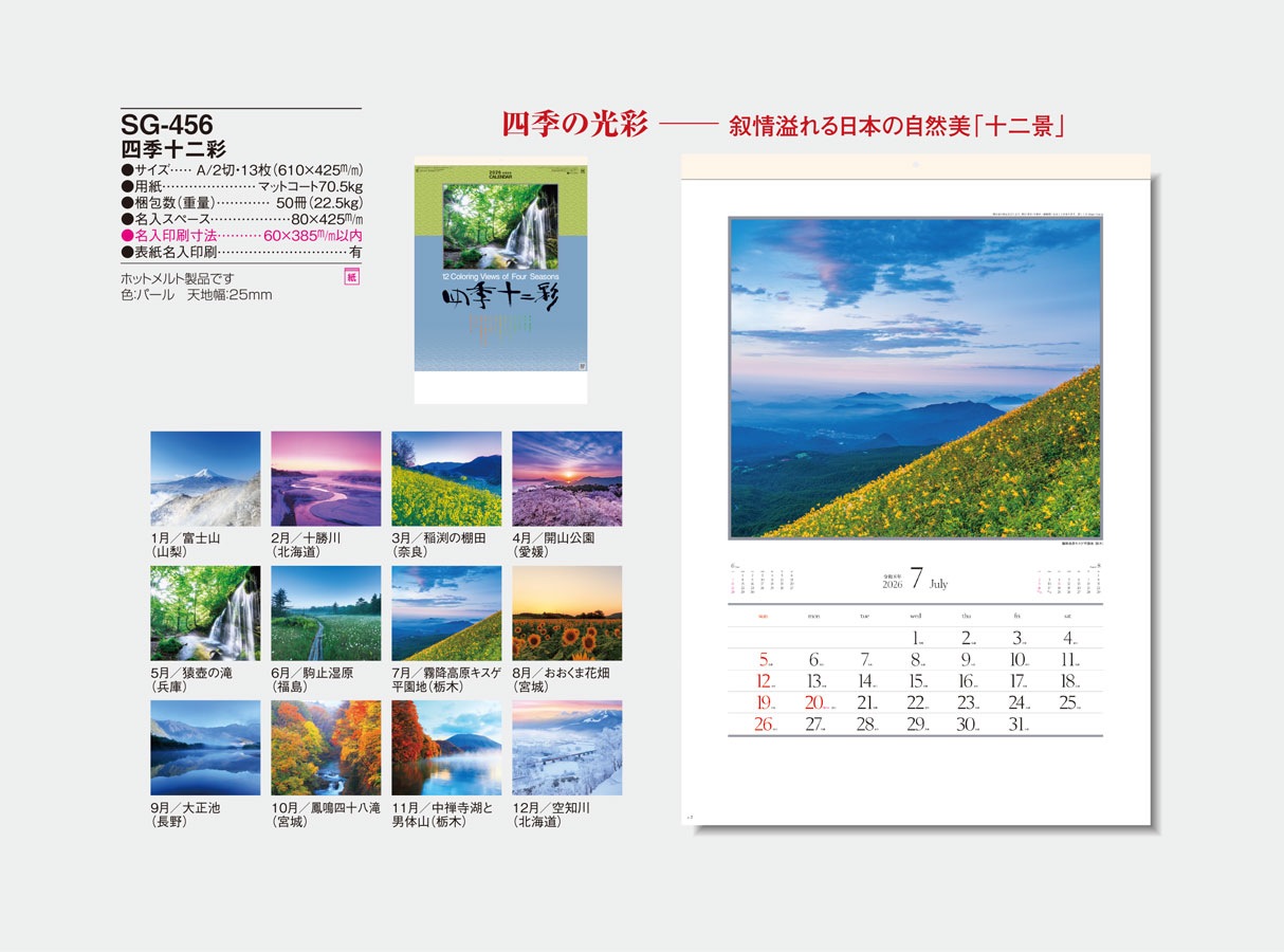 SG-456 �͵������