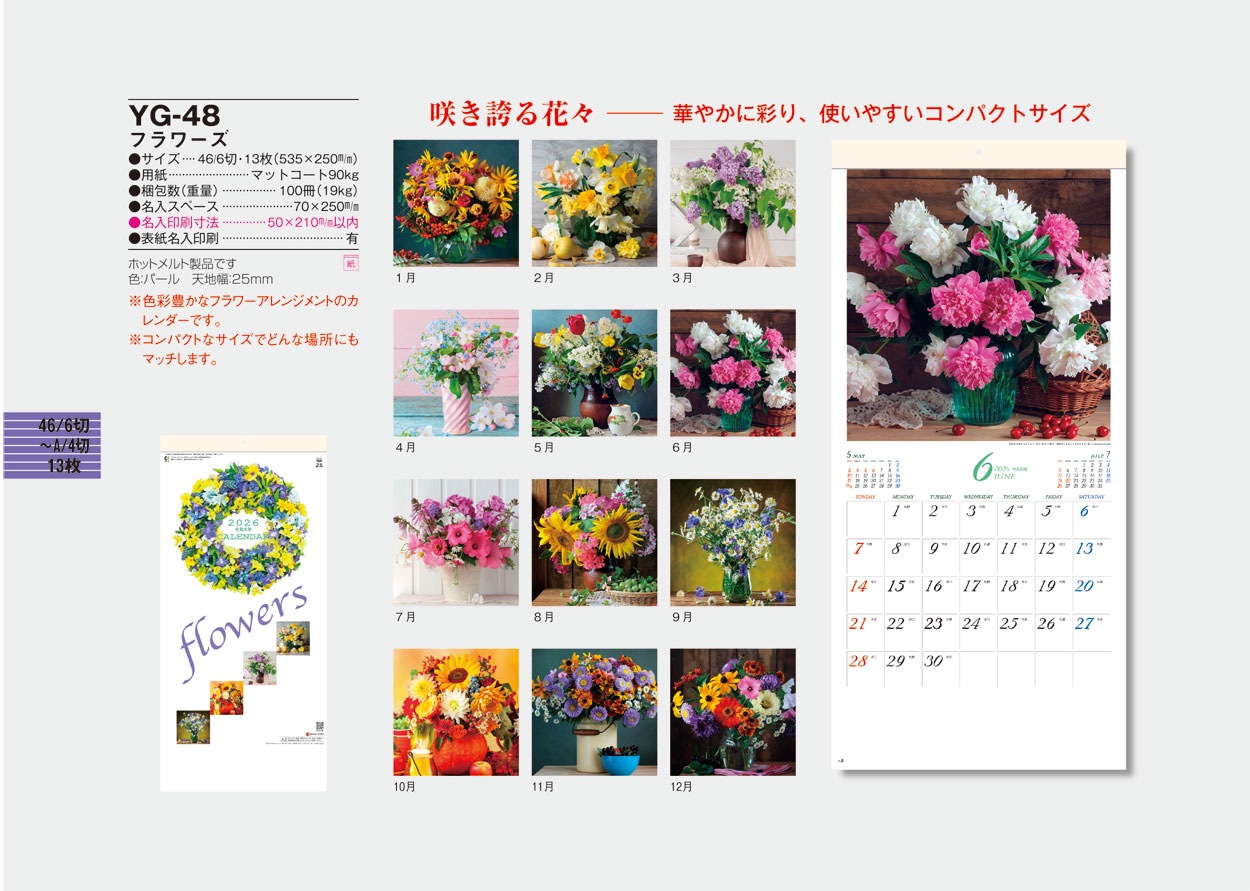 YG-48 �ե���(SG-158)