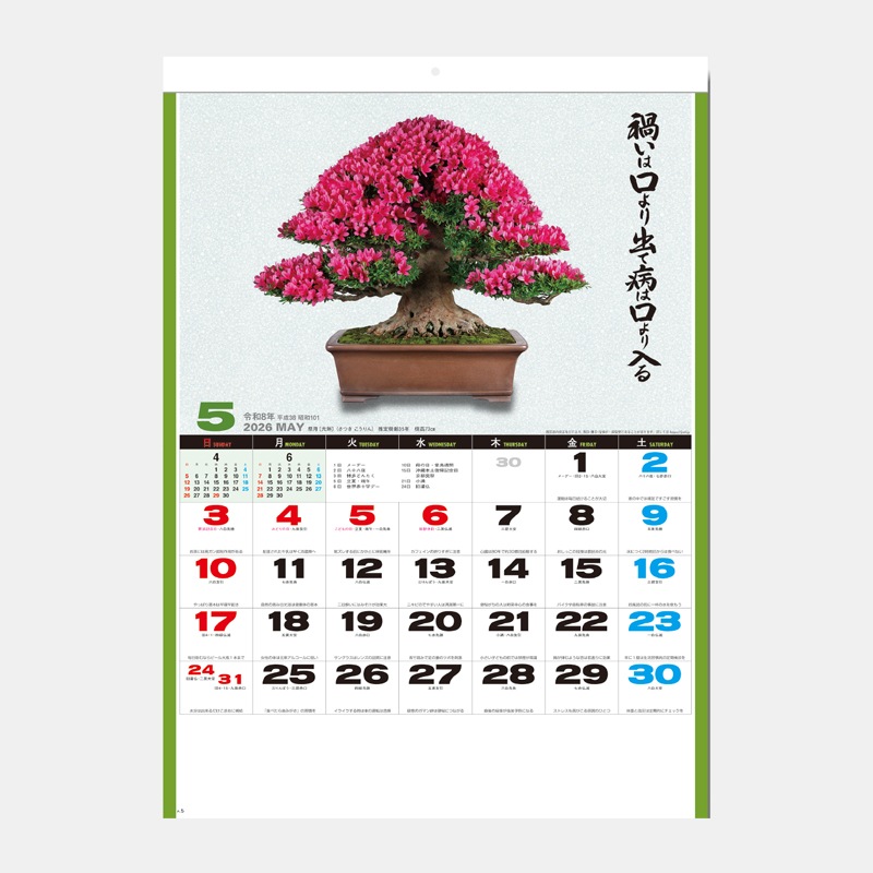 SG-278 �����������ߺϡ�