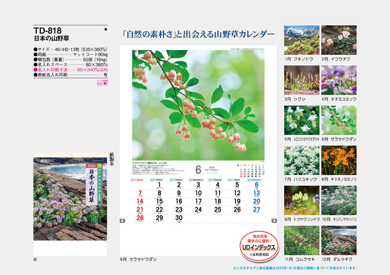 TD-818 ���ܤλ�����