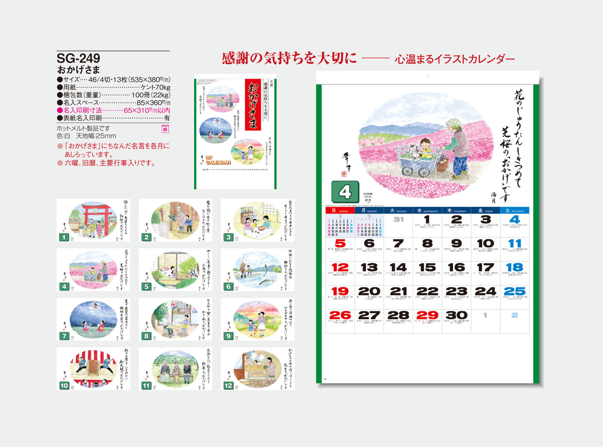 SG-249 ����������