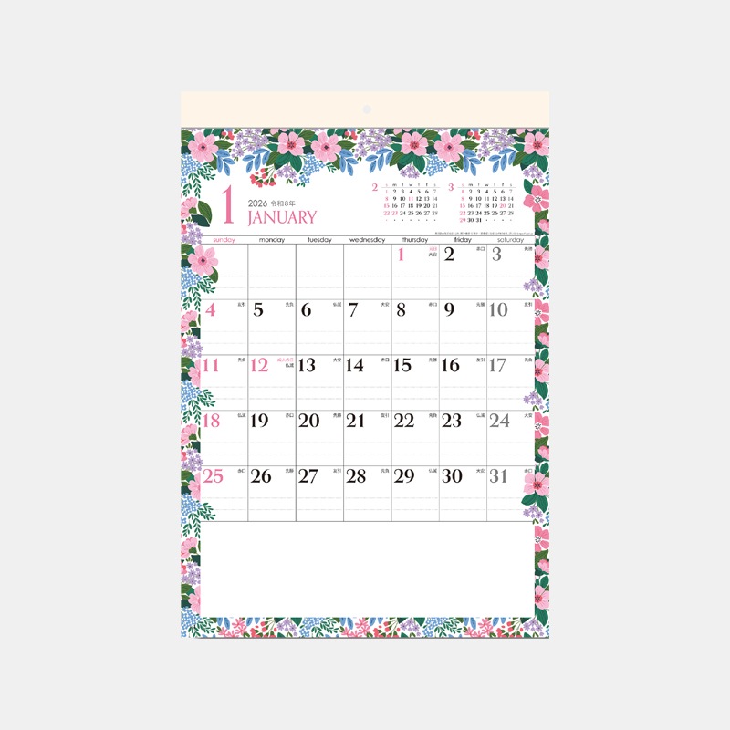 SG-126 �ե��ե졼��