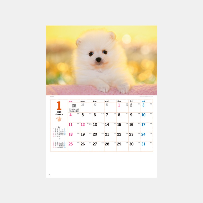 NK-454 ���󥭥塼�ɥå�