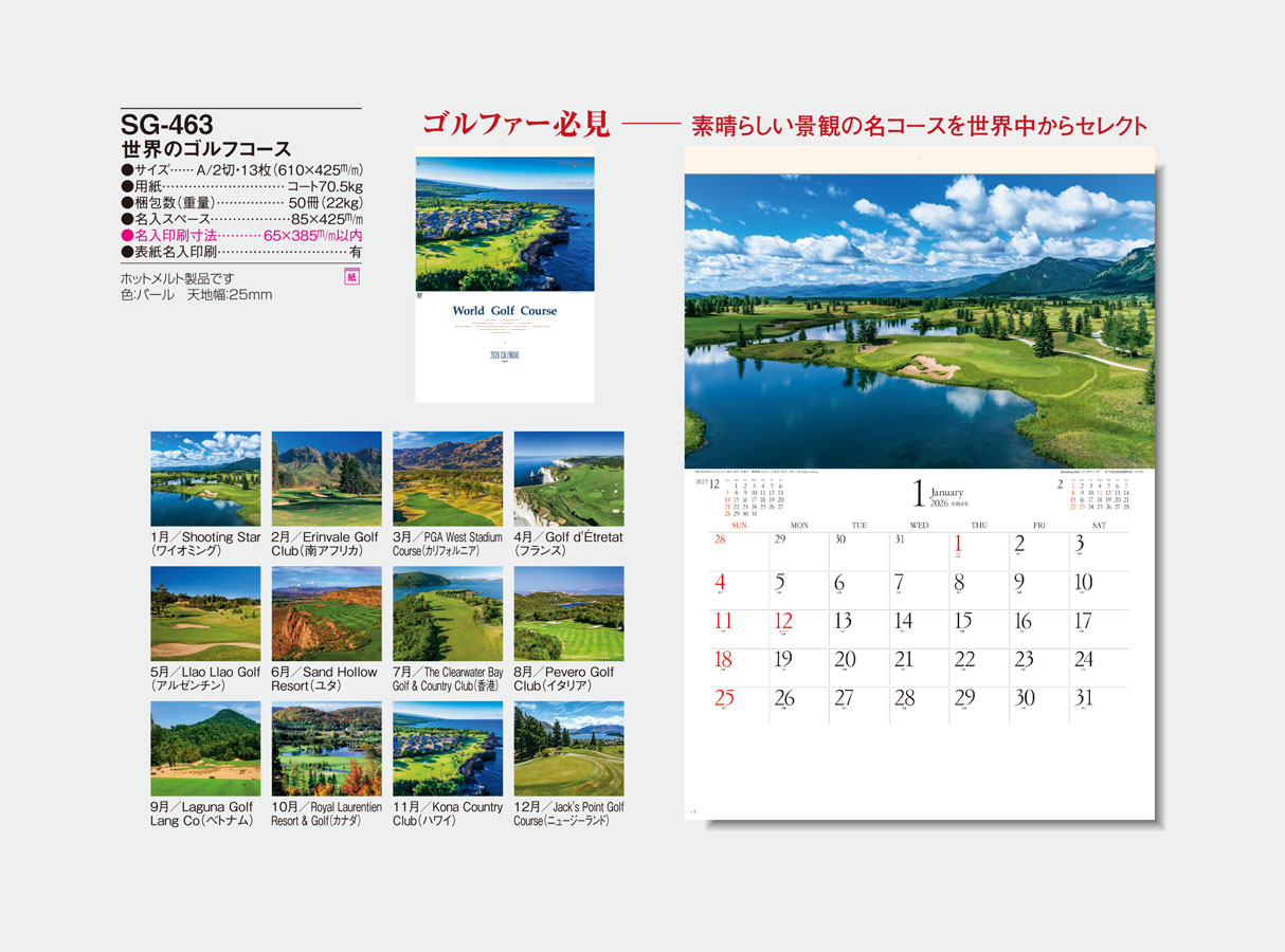 SG-463 �����Υ���ե�����