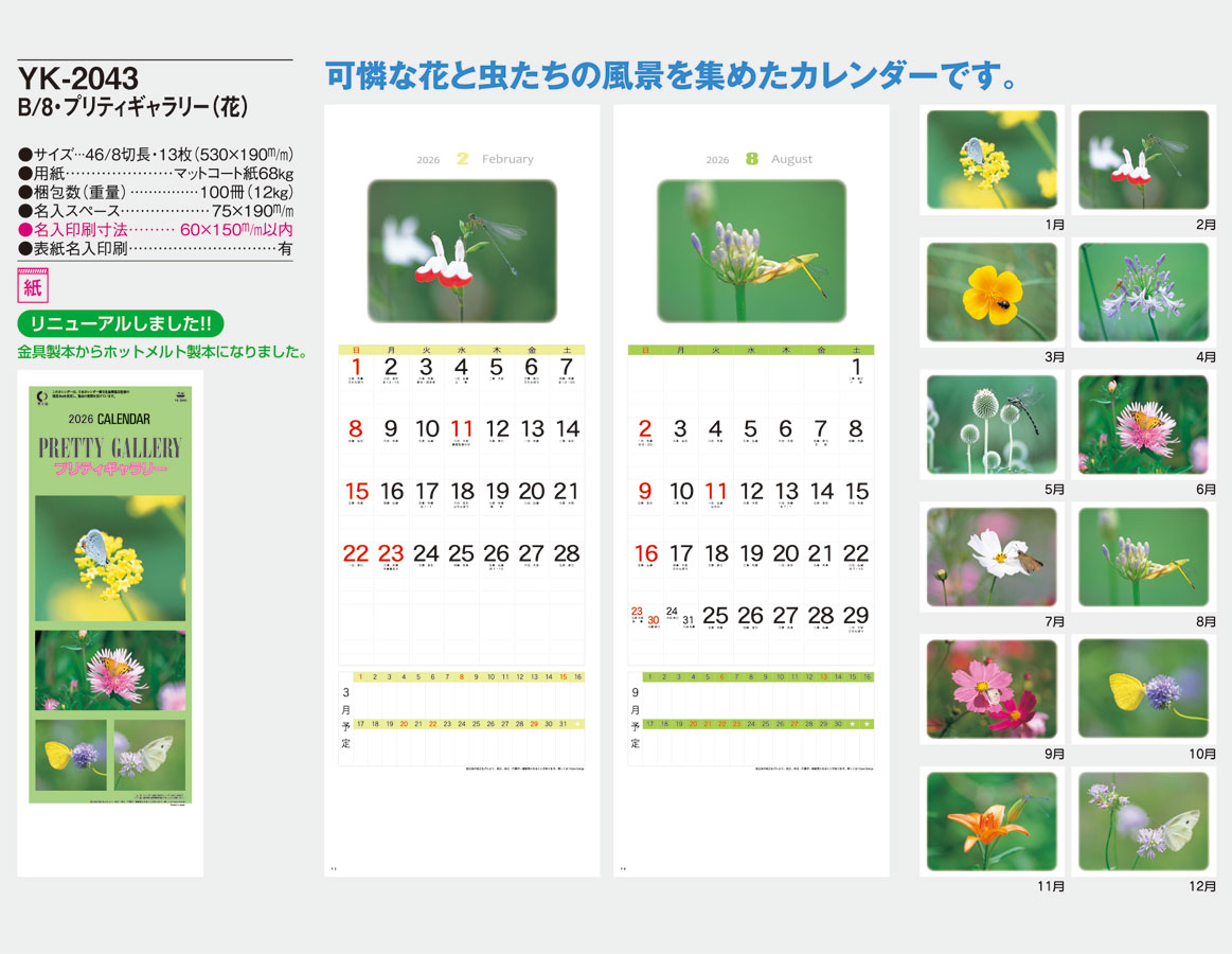 YK-2043 B/8���ץ�ƥ������꡼���ʲ֡�