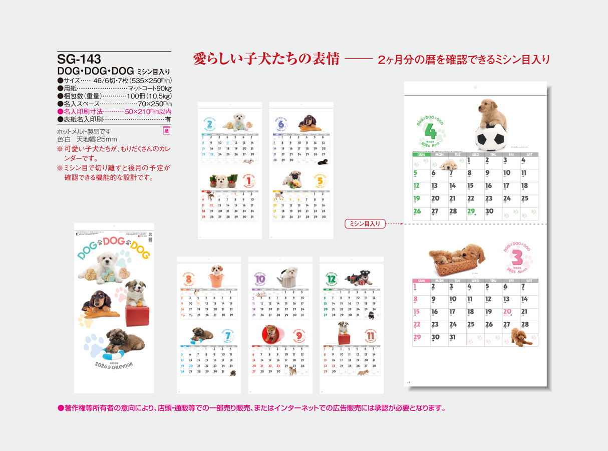 SG-143 �ģϣǡ��ģϣǡ��ģϣǡ��ʥߥ����������