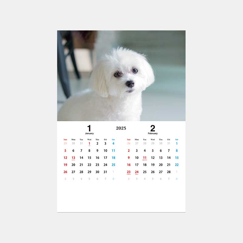 KJ-401 �ɥå�������ѥ��ȥ������塼�� SA-601�ʥե륫�顼�б���