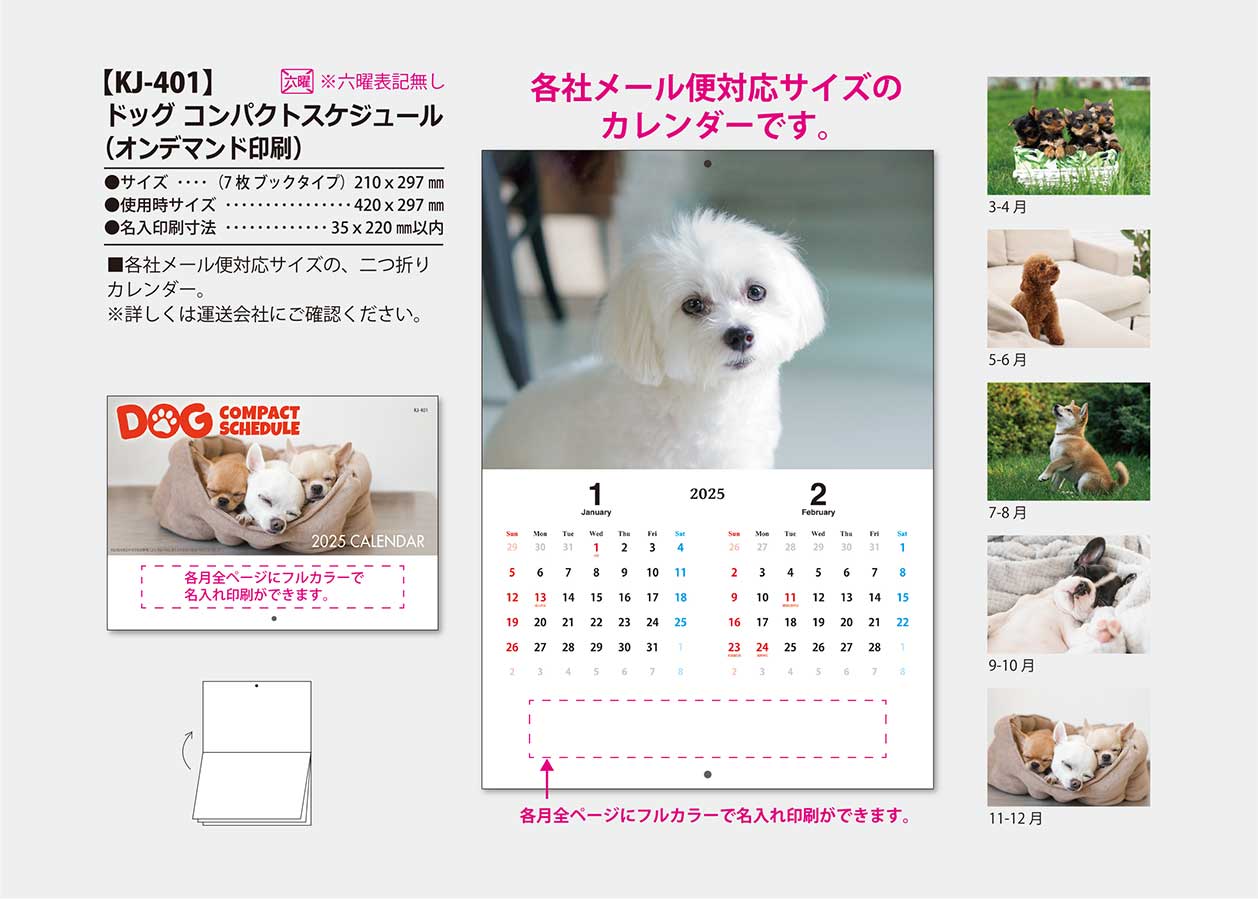 KJ-401 �ɥå�������ѥ��ȥ������塼�� SA-601�ʥե륫�顼�б���