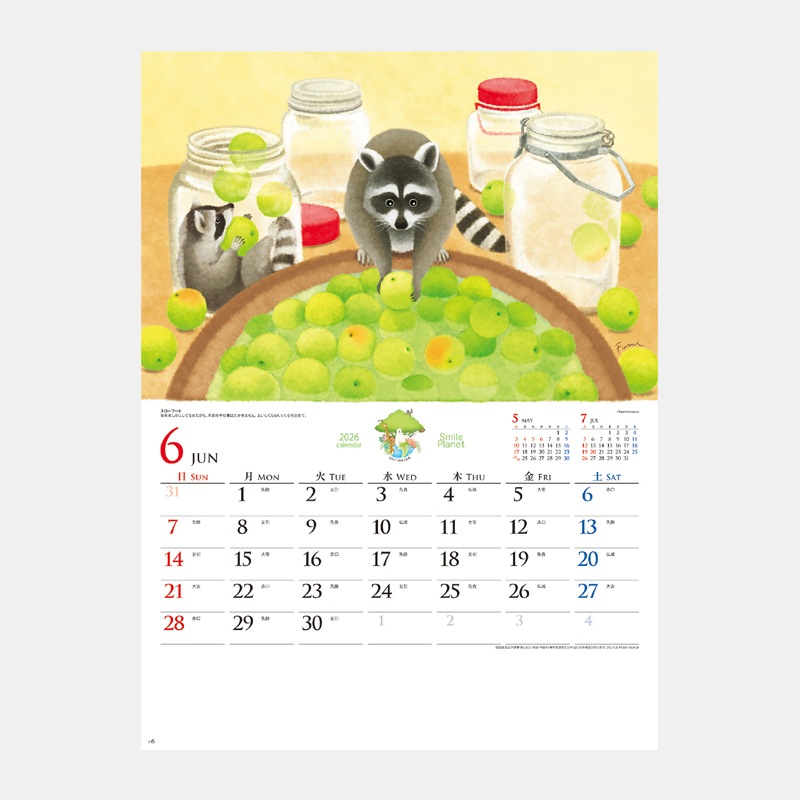 NK-480 ���ޥ���ץ�ͥåȡ��ʼ�������ϵ��̤���(MM-222)