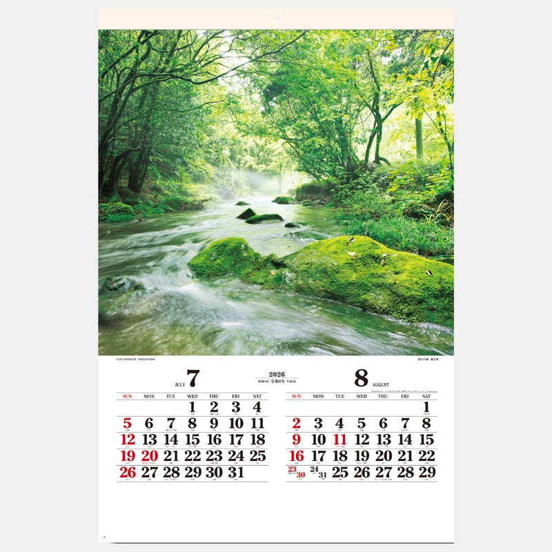 SG-502 �͵�����