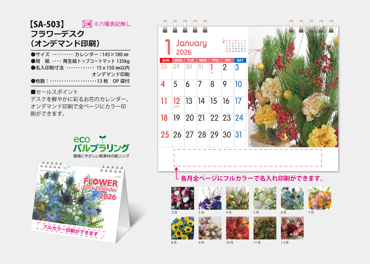 SA-503 �ե��ǥ����ʥե륫�顼�б���