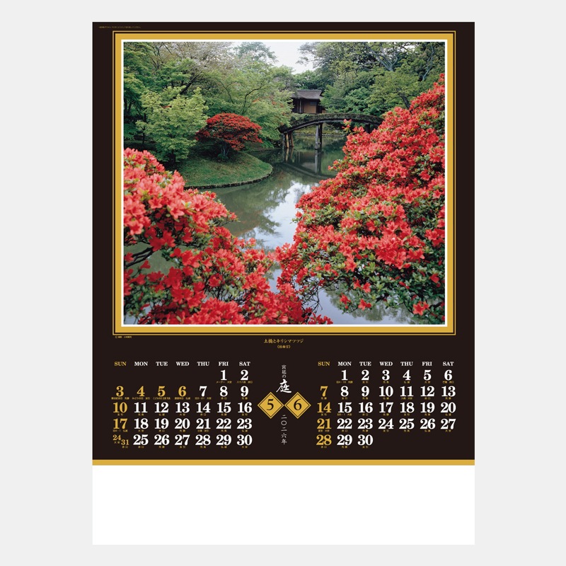 SP-6 �������