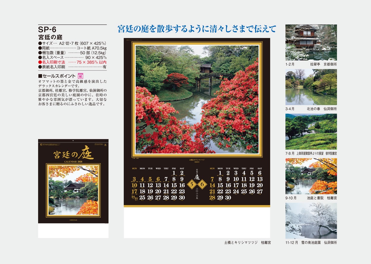 SP-6 �������