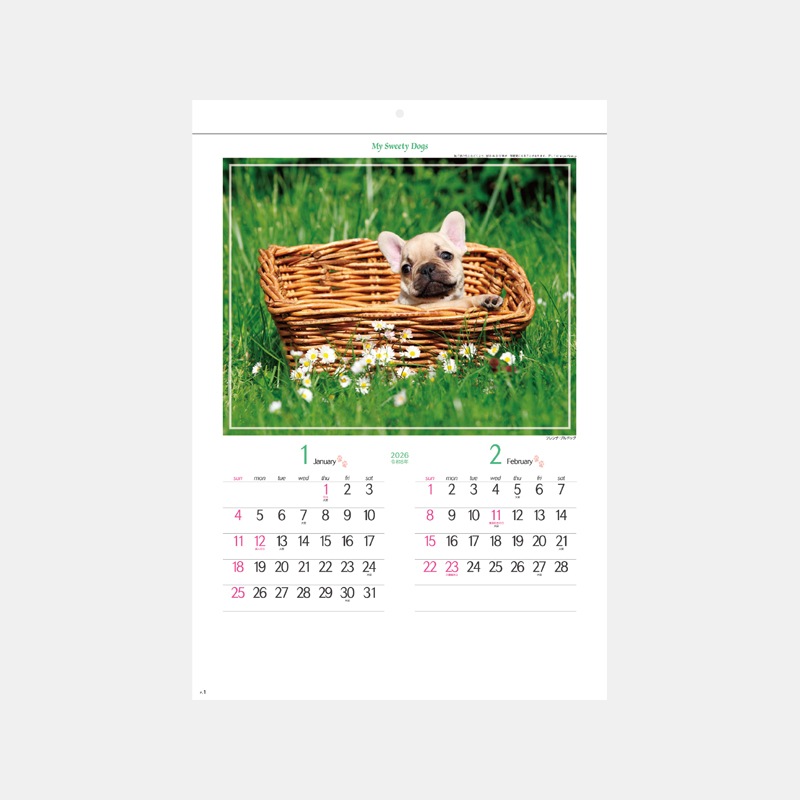 SG-162 �ޥ������������ƥ������ɥå�