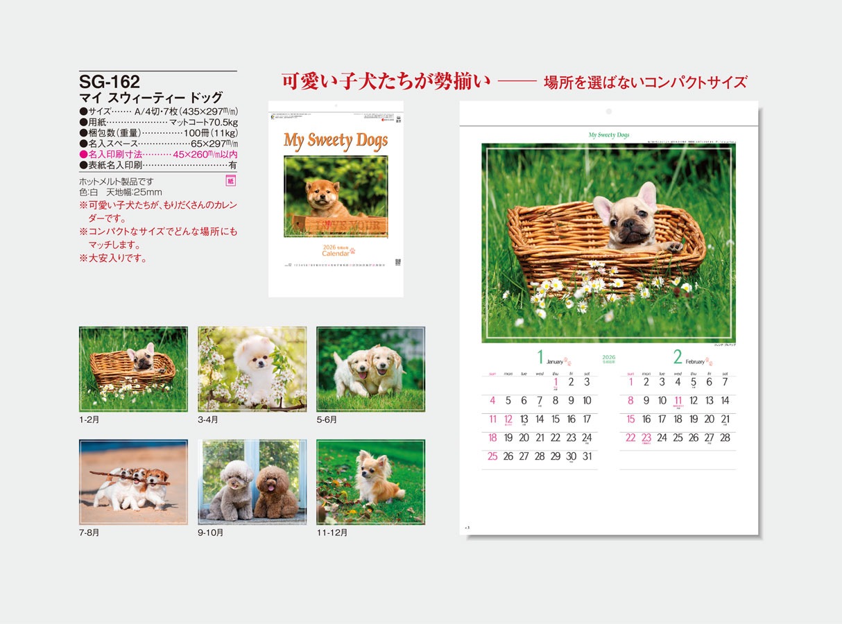 SG-162 �ޥ������������ƥ������ɥå�